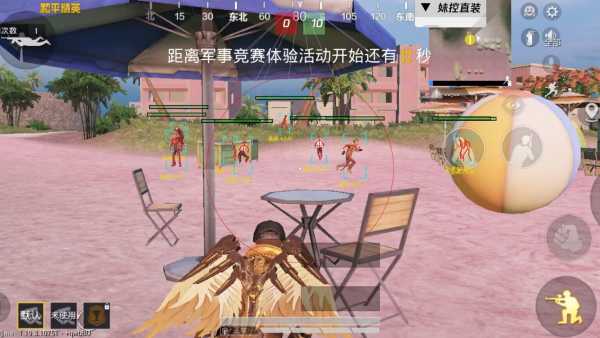 和平精英《迪达拉pro》辅助